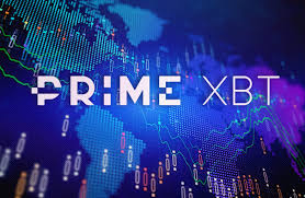 Complete Guide to PrimeXBT FAQ Find Answers to Your Questions